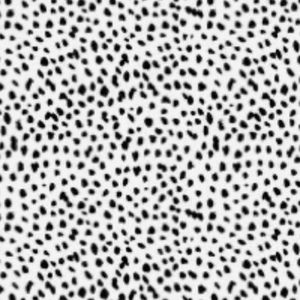 Meet your Posher, Brooklyn